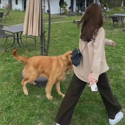 学妹惊声之色色发抖